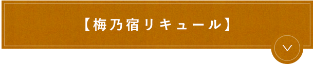 【梅の宿あらごしシリーズ】