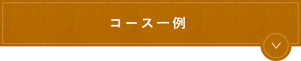 コース一例